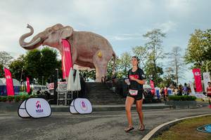 BIB: 
                            <button type="button" onclick="openModal(26529149)" class="btn btn-primary btn-sm float-right btn-popup" data-toggle="modal" data-target=".modal-high-quality">
                        <i class="fas fa-shopping-cart"></i> Add to Cart
                    </button>
                                            <button type="button" onclick="isThisMe(26529149, true)" class="btn btn-success btn-sm float-right btn-popup btn-isme hidden" data-toggle="tooltip" data-placement="bottom" title="นี่คือรูปของคุณใช่ไหม คลิกที่นี่เพื่อเอาเข้าอัลบั้ม">
                        <i class="fas fa-plus"></i> Add to album
                    </button>
                    <button type="button" onclick="isThisMe(26529149, false)" class="btn btn-warning btn-sm float-right btn-popup btn-isnotme hidden">
                        <i class="fas fa-ban"></i> Remove from album
                    </button>